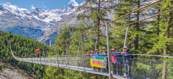 �����h��y�B�l���C12��(BSX12)