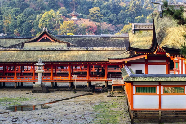 �Y�q����