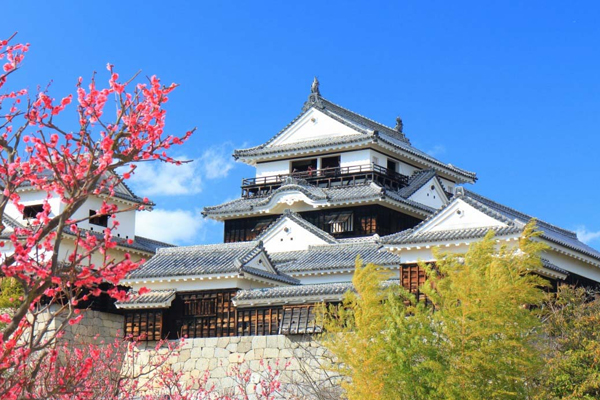 �줩�Q�s��