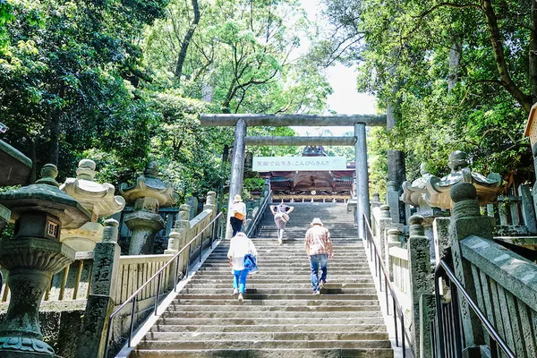 ���M��ù�c