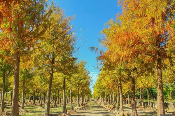 ��ᮮ�ؤ���