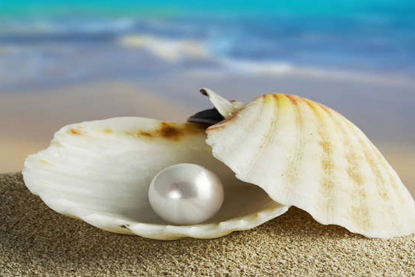 �ï]�i�ޤ���