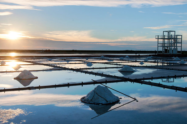 ���J�}�˽L�Q��