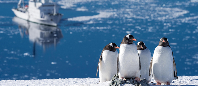 �g��n���b�q11�����礧��