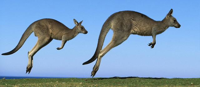 �D�w�u�ʦۥD�C