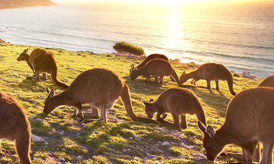 �X���D�w���w�Ӽw4��2�]�ۥѦ�