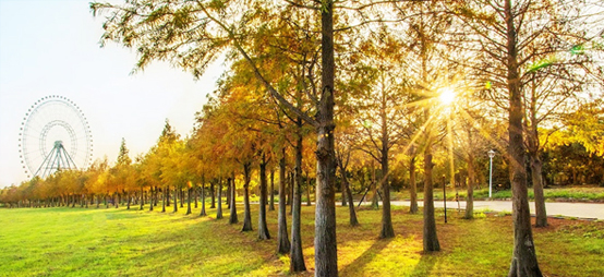 �x�W���n���K�N�֬�4�Ѥ���