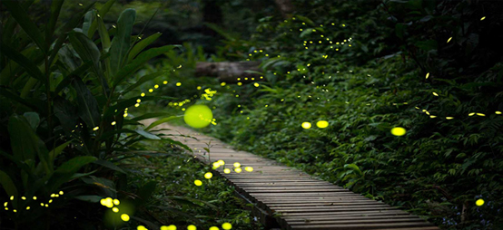 �x�W���n���~���֬�4�Ѥ���